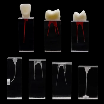 7 бр. блок за коренови канали на зъбите Обучение модел на Обучение на блокове, за да эндодонтии Обучение демонстрация стоматология