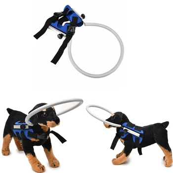 Водещ устройство за слепи кучета, ореол, което предотвратява сблъсъци и стягане на доверие, аксесоари за слепи кучета
