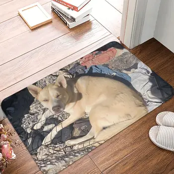 Красива подложка за спални DaVinChi Dog Doge, домашен мат, кухненски килим, балкон